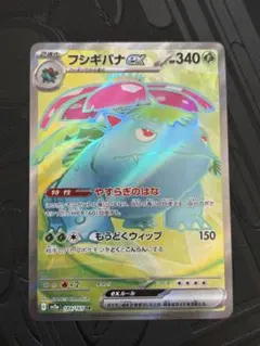 フシギバナex sr