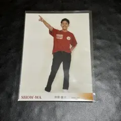 SHOW-WA 井筒雄太 お台場冒険王 生写真