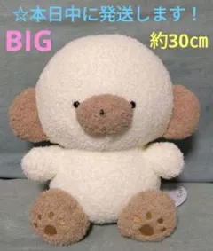 【 ラウンドワン限定　じょせまる　BIGぬいぐるみ 『 らて 』】