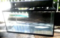 2025年最新】水槽 90 中古の人気アイテム - メルカリ