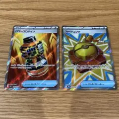 パワープロテイン　ファイトゴング　SR