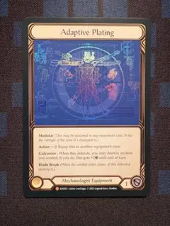 Flesh and Blood Adaptive Plating RAINBOW