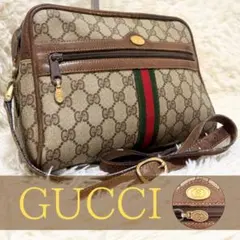 希少 グッチ シェリーライン GG キャンバス レザー ショルダーバッグ PVC