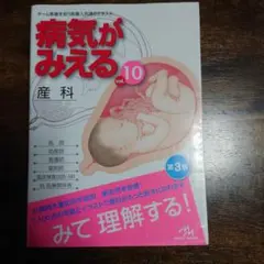 【第３版】 病気がみえる vol.10 産科
