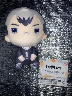 【24時間以内発送】ハイキュー!! もちぴこぬいぐるみ 第10弾 北信介