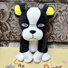 2025年最新】めちゃもふぐっと イギーの人気アイテム - メルカリ