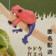 どこでも 抱きつき ! レオパチャーム　ヤドクガエル　ガチャ　マスコット