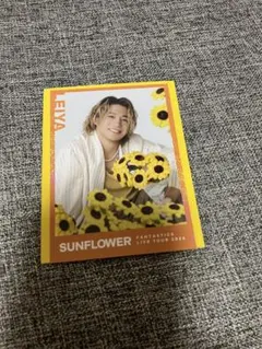 FANTASTICS sunflower 瀬口黎弥　シクレ