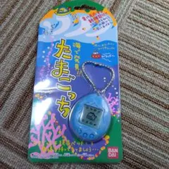 海で発見たまごっち