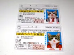 Item thumbnail for item 37a7cece-e90d-4865-bc86-081a75da514f