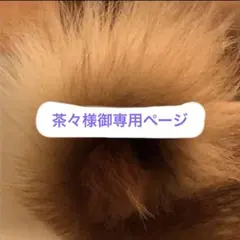 茶々様御専用ページ　レザーレースチョーカー