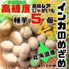 ちびざる様 リクエスト 5点 まとめ商品