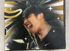 とらほー シークレットフェイスタオル 才木浩人