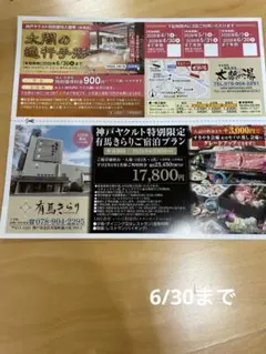 有馬温泉 太閤の湯 割引クーポン券