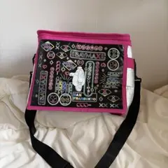 【タグ付き⭐️新品未使用】ベイマックス　保冷保温バッグ　〜サンフランソーキョー〜