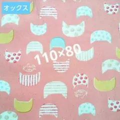 315854様 リクエスト 2点 まとめ商品