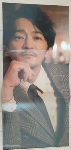 【9/30までの値下げ】 津田健次郎　ピンナップ　両面