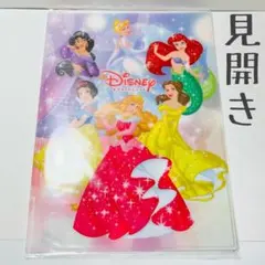✩未開封✩ディズニーストア　ディズニープリンセス　Wポケットクリアファイル