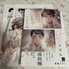 C様 リクエスト 2点 まとめ商品