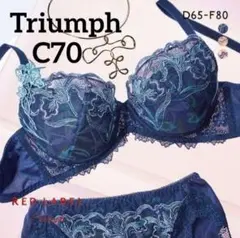 Triumph トリンプ レッドレーベル TR0105 ブラC70 定価7920
