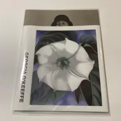 牛の頭蓋骨　壁掛け　置物　本物　ジョージア・オキーフ 牛の頭蓋骨 壁掛け 置物 本物 ジョージア・オキーフ 牛の頭蓋骨