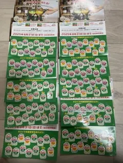 キウイブラザーズ　ゼスプリ2025 応募シール150枚　台紙貼付済　おまけ付き！