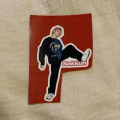 ピョンちゃん様 リクエスト 2点 まとめ商品