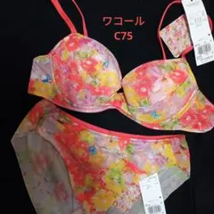 Item thumbnail for item 8baf34eb-e229-44cc-954c-972833330f42