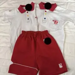 Item thumbnail for item a2869b6f-dc02-47c9-be53-db47b6e6c164