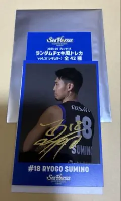 シーホース三河　角野亮伍　チェキ風トレカ