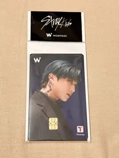 WOWPASS straykids スキズ チャンビン Tmoney ワオパス