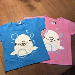 AQUAS シロイルカTシャツ100cm ブルー＆ピンク＆ネイビー