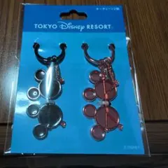 東京ディズニーリゾート キーホルダー