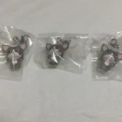 JOCHUMめじるしアクセサリー　チュララ3個セット