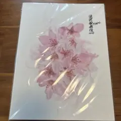 滝沢歌舞伎ZERO FINAL パンフレット