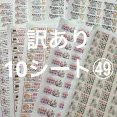 ケアシール　訳あり10シート