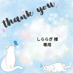 しららぎ様 リクエスト 4点 まとめ商品