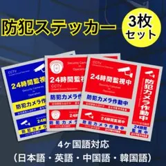 防犯ステッカー 3枚 カメラ型 セキュリティー ステッカー 防犯対策 防犯シールのサムネイル