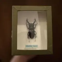 Item thumbnail for item 8a913d74-edd3-4519-93b0-3cb6b722a384