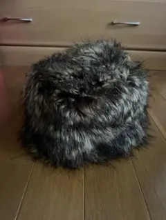 Item thumbnail for item dc40fe98-02dd-4c94-8ba7-20efc7839c90