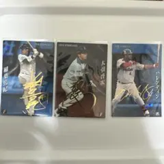 柴*オ様 2014 プロ野球チップス サインカード