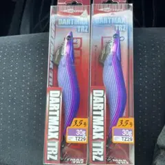 エギリー ダートマックス TRZ 3.5号 30g TZ01 ⭐︎ 2個セット - メルカリ
