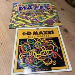 MAZES 海外本 迷路 迷路本 立体迷路