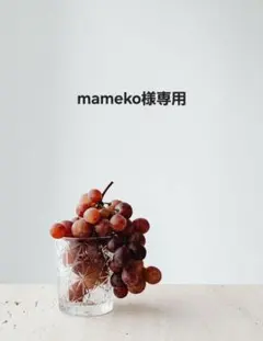 mameko様専用 ①