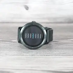 GARMIN vivoactive3