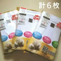 グンゼ　天引きブリーフ　M　２枚組　３セット　綿100% 　白