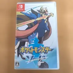 専用です！ポケットモンスター ソード Nintendo Switch