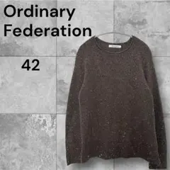 【美品XL】Ordinary Federation ブラウンニット42 ラメ入り