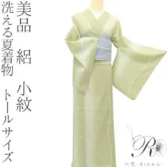トールサイズ 夏着物 絽 訪問着 正絹 裄丈69 身丈168 2025年最新】絽 訪問着 裄68の人気アイテム - メルカリ