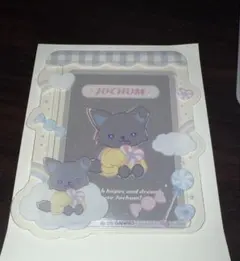 JOCHUM シークレット硬質ケース ピーハイ